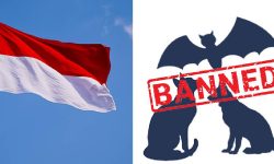 जकार्तामा कुकुर, बिरालो र चमेरोको मासु बेच्न प्रतिबन्ध