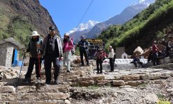 ‘मौरिस हर्जोग’ पदमार्ग पुन:सञ्चालन