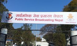 पिएसबी नेपालको एक वर्ष पूरा : ‘एनटिभी वल्र्ड’ शुभारम्भ हुँदै