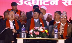 नेपाली कम्युनिस्ट पार्टीको संयोजकमा दाहाल, सहसंयोजकमा नेपाल चयन