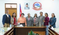 निर्वाचन कानुनमा ५० प्रतिशत महिला उम्मेदवार सुनिश्चित गर्नुपर्ने माग