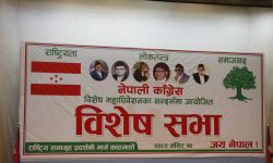 विशेष महाधिवेशन पक्षधरको सभा सम्पन्न, पार्टीकै केही पदाधिकारीले महाधिवेशन रोकेको आरोप