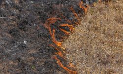 सुक्खायाम सुरु भएसँगै आगलागीका घटनामा वृद्धि