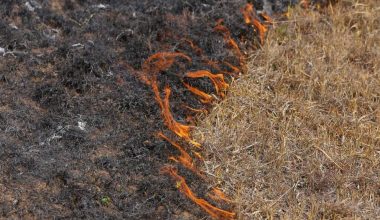 सुक्खायाम सुरु भएसँगै आगलागीका घटनामा वृद्धि