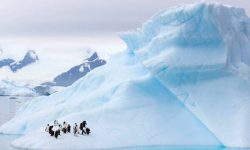 अन्वेषकहरूको अन्टार्कटिकातर्फ यात्रा : एक लाख ३० हजार पुरानो बरफको खोज