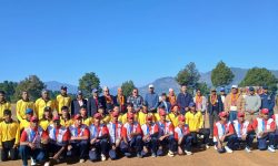 बिडिसिए कपः एकदिवसीय क्रिकेट सुरु