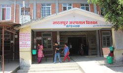 थालेसेमियाका बिरामीको स्वास्थ्य बिमा शुल्क हस्तान्तरण