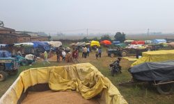 धान बेच्न किसान रातभर लाइनमा, सरकारी खरिद केन्द्रमा भीड