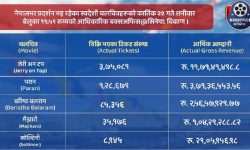 दर्शकले रुचाउन थाले नेपाली चलचित्र