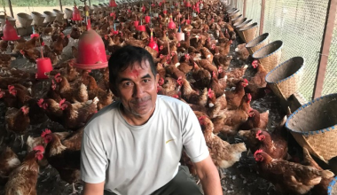 कुखुरापालनबाट मासिक एक लाख आम्दानी