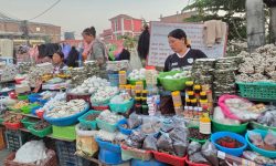 चिसो पहाडबाट झरेर तराईमा जडीबुटी व्यावसाय