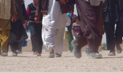 पाकिस्तान, इराकबाट गत हप्ता ४३३ अफगान कैदी कैद मुक्त