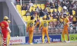 एनपिएल : लुम्बिनी लायन्सद्वारा सुदूरपश्चिमसामु १४४ रनको लक्ष्य प्रस्तुत