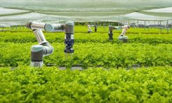 कृषि–प्रविधिमा अग्रणी बन्ने ब्रुनेइ–सिङ्गापुरको साझा प्रयास