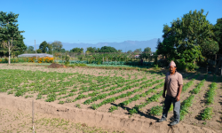 ‘टिपिएस’ विधिबाट आलुखेती