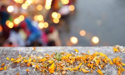 क्यानडाका नेपाली समुदायले शतबीज छरेर बालाचतुर्दशी मनाए