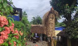 Production of maize increases in Tanahun