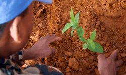 युद्ध र सशस्त्र द्वन्द्वमा वातावरणको दुरुपयोग रोक्न अन्तरराष्ट्रिय दिवस मनाइँदै