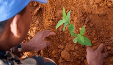 युद्ध र सशस्त्र द्वन्द्वमा वातावरणको दुरुपयोग रोक्न अन्तरराष्ट्रिय दिवस मनाइँदै