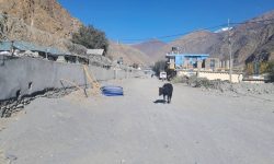 निर्माणाधीन कोबाङ-जोमसोम सडक आठ वर्षदेखि अलपत्र