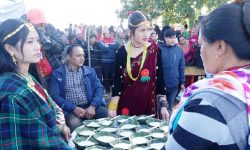 पश्चिम पाल्पामा न्वागी महोत्सव हुँदै