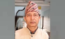 कोशी प्रदेशको योजना आयोगको उपाध्यक्षमा निरौला नियुक्त