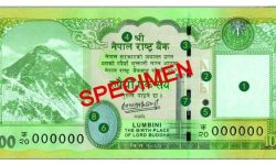 चुच्चे नक्सा भएको एक सय रुपैयाँको नोट चलनचल्तीमा