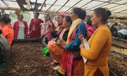 प्रोत्साहनका कार्यक्रमले उद्यमशील बन्दै पौवादुङमा महिला