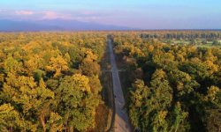 राजमार्गको गड्डाचौकी–अत्तरीया खण्ड स्तरोन्नी गर्न अनुगमन