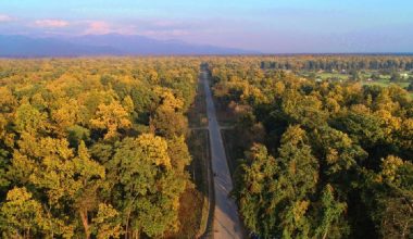 राजमार्गको गड्डाचौकी–अत्तरीया खण्ड स्तरोन्नी गर्न अनुगमन
