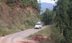 झाडी सरसफाइ नहुँदा दुर्घटनाको जोखिम