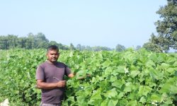 व्यावसायिक तरकारीखेतीबाट वार्षिक १० लाख बचत गर्छन् महतो