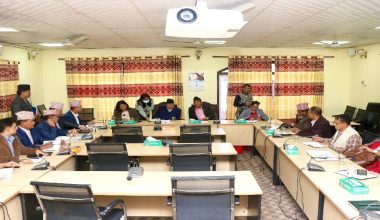 सभामुख बैठकः प्रदेश कानुनका व्यवस्था सङ्घीय सरकारले हटाउन नमिल्ने