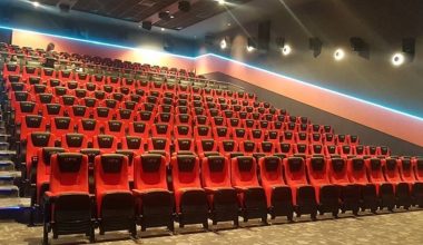 लहानमा नौ करोडको लागतमा अत्याधुनिक ‘कार्निभल सिनेम्याक्स’ सञ्चालनमा