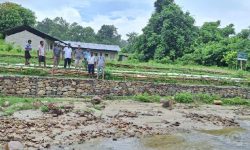 जैविक तटबन्धले जोगायो विद्यालय