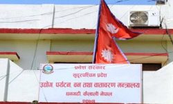 सुदूरपश्चिममा वन उपभोक्ता समूहको आन्दोलन स्थगित, समस्या समाधानका लागि १३ सदस्यीय कार्यदल गठन