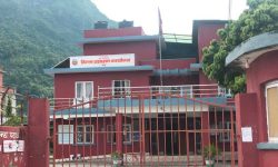 तनहुँमा दैनिक ४० राहदानी वितरण