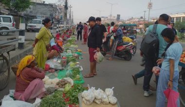 थारु महिलाको पौरखस् नेपालगन्जलाई अर्ग्यानिक स्वाद