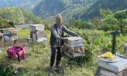 मौरीपालनबाट वार्षिक १५ लाख आम्दानी