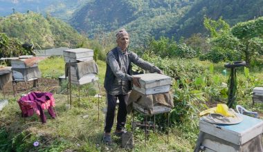मौरीपालनबाट वार्षिक १५ लाख आम्दानी