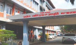 सार्वजनिक सेवाको प्रभावकारिता वृद्धि ३९ बुँदे कार्ययोजना