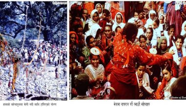 हरिबोधनी एकादशी: भगवान विष्णुको जागरण र तुलसी–शालीग्राम विवाहको पावन पर्व