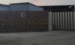 योयो प्लाइउड उद्योग बन्द, छ सय बढी मजदुर बेरोजगार