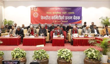 एमालेमा कार्यविभाजनको जिम्मेवारी सचिवालयलाई