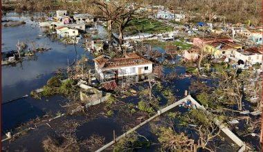 सन् २०२५ : अत्यन्त तातो वर्ष