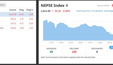 नेप्से १० अंकले घट्दा चार अर्ब ७७ करोडको सेयर किनबेच