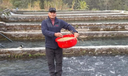 विकट गाउँमा रेन्बो ट्राउटपालन गर्दै पूर्वप्रहरी विकास