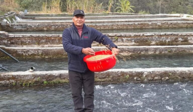 विकट गाउँमा रेन्बो ट्राउटपालन गर्दै पूर्वप्रहरी विकास