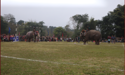 हात्ती ‘पेनाल्टी’ प्रतियोगितामा लक्ष्मीकली प्रथम
