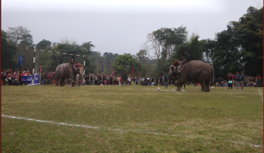 हात्ती ‘पेनाल्टी’ प्रतियोगितामा लक्ष्मीकली प्रथम